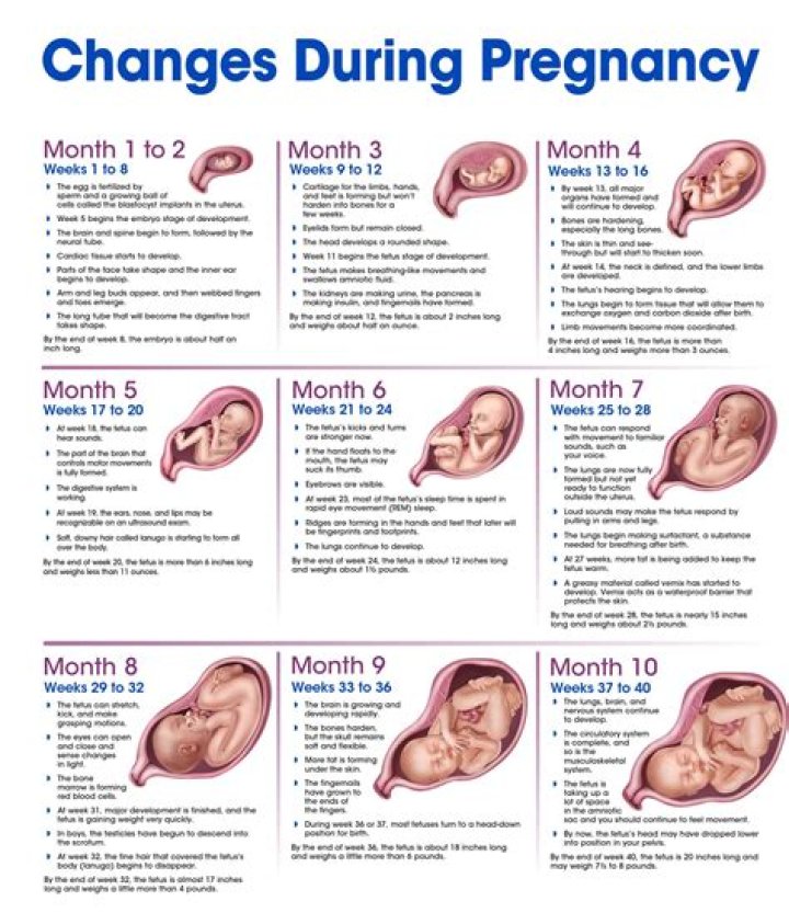 Discover Brianna Keilar's Pregnancy Journey: Uncovering Inspirations And Insights